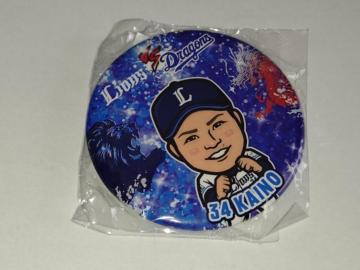 ʐCIY2025 34 b쉛 K`̔ ʃob` 𗬐 hSY