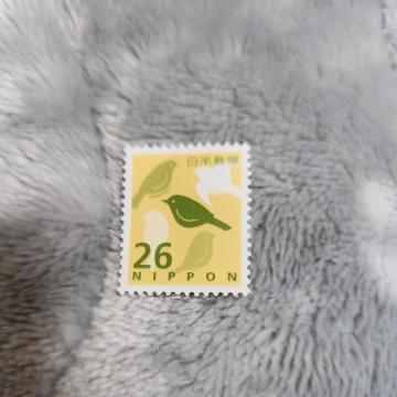 �؎�@26�~��