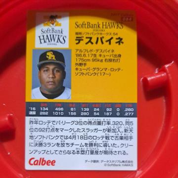 �f�X�p�C�l