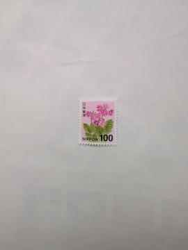 100�~�؎�1��