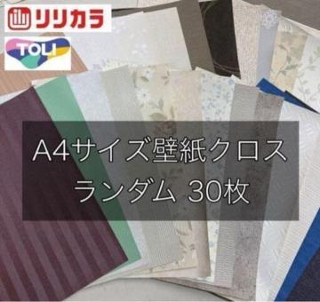 VizJقǎ{NXA4~30 DIYŕC }H H̍ޗ