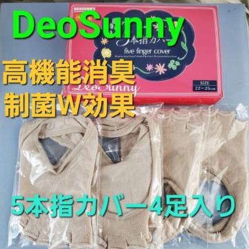 ݁2@\L~WʁIDEOSUNNY5{wJo[f[X