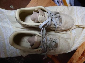 �i�C�L�G�A�z�[�X�����������f��