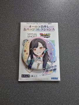 �v���W�F�N�g�Z�J�C ���Έ� �ʃo�b�W