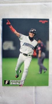2006v싅`bvXPe{nSHINJO(Vu)M[J[h