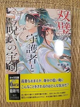 PPV@@o̎҂Ǝ􂢂̕󌕁@@@@@/