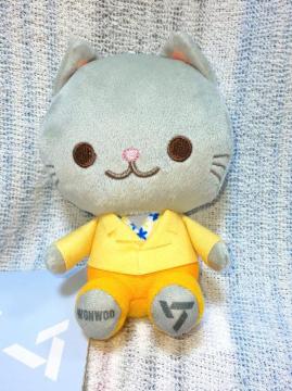 ySEVENTEENzANIMAL-COORDY~jʂ݁`SECTOR17`