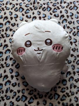 풴BIGʂ