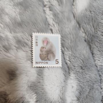 �؎�@�T�~��