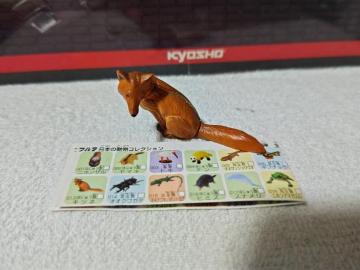 フルタ 日本の動物1 キツネ