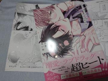 BL�����[�t���b�g�t�y�����Ȃ��G���[�g���́��ɂƂ낯��z�V�t�܂���