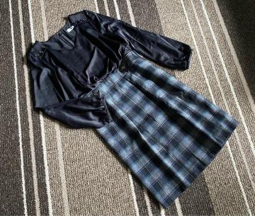 iViagcgio Blu(rAbWu[)ؑւ߰