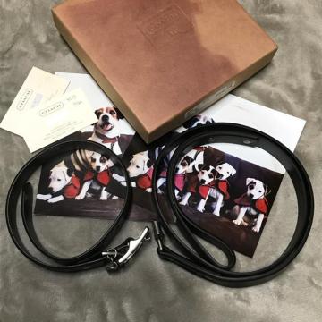 ���K�i COACH �R�[�` �h�b�O�J���[&���[�h L ���g�p�i �{�b�N�X�t