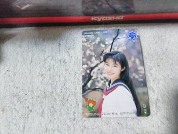 ڶ 1000 R݂ Ԕ '90 JR{a̎Rx gp