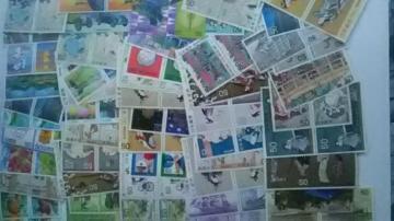 gpi50~؎110Vigpi  50110[QP