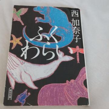 ӂ炢@ގq