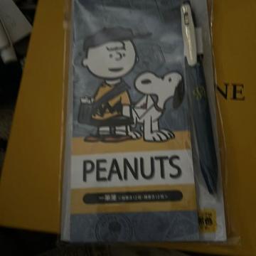 �X�k�[�s�[�̈�M���ƃ{�[���y��