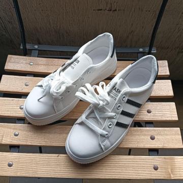 Vi 25cm fB[X Xj[J[ zCg V[Y C 