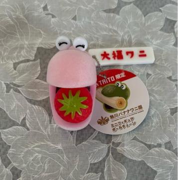 �yTAITO����z�M��o�i�i���j�� �啟���j�~�j �t�B�M���A BC