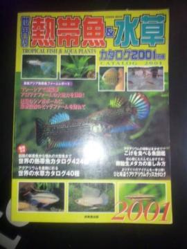 E̔MыJ^O2001@Ö{