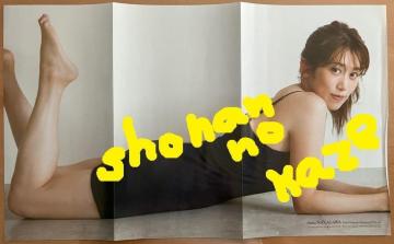 �X�^�C�����Q�̏��q�A�i�Ől�C�́u����Ǔށv����̋M�d�ȗ��ʃ|�X�^�[