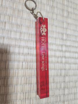 Vi l肠 2011 A[icA[ HOTELLovesong [L[ 529