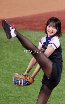 ����ъG�ʐ^�Q���Z�b�g