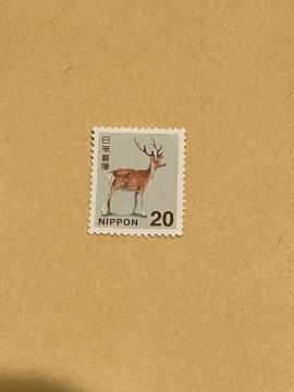 20�~�@�؎�@�|�C���g����