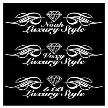 ピンスト ノア Luxury Style  50センチ