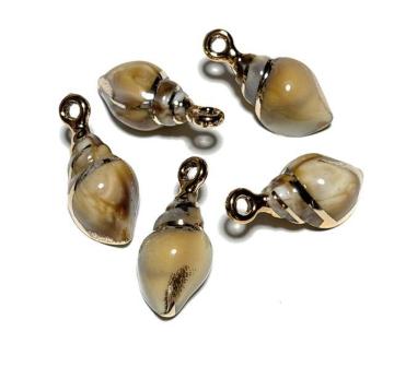 035 L̎`[@傫5@{ł͂܂B