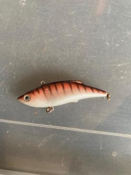 �o�C�u���[�V�����@�P���N���t�g