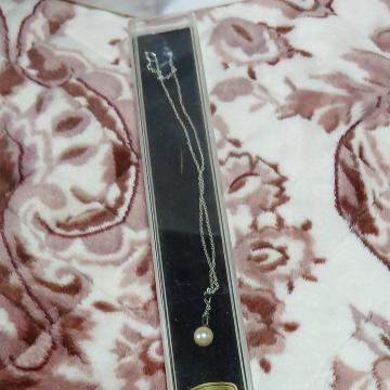 �t�F�C�N�^��̃l�b�N���X�@���a���g��