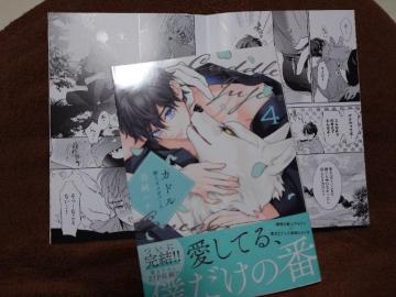 BL*�A�j���C�g�����q�t�y�J�h���C�z�H���n�i