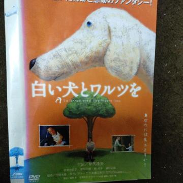 ����DVD�@�������ƃ����c��