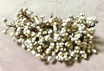 嗱Ǖi@S@iLn[@싞n[@50{@XbO@[XȂǂ