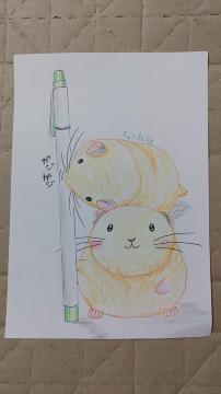 ����C���X�g�@�O���f�B�@����