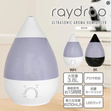 g@A}@KH-310@bNXʁ@㕔^@LEDCg