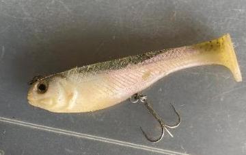 �X�C���x�C�g�@�m�[�u�����h