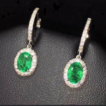 �V�R�G�������h�s�A�X�@�L�O���M�t�g�@�V�R�@�i�`������  �A�N�Z�T���[ �@�J���[�X�g�[���@ ��΁@ Yu_5345