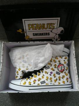 PEANUTSXk[s[unCJbgXj[J[vN3