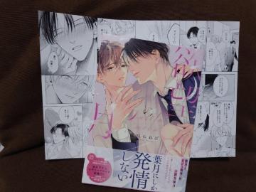 BL[tbgty~]̌z˂˂