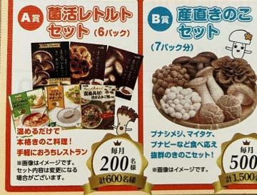 ���̂�7�p�b�N�Z�b�g/���g���g6�p�b�N�Z�b�g/2100���l5��