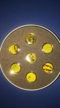 ���q�b�`�R�b�N���s���Y�R���N�V����