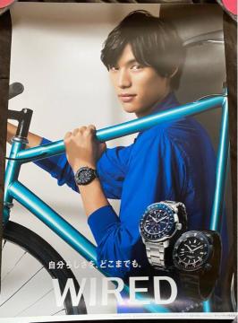 WIREDm񔄕i|X^[