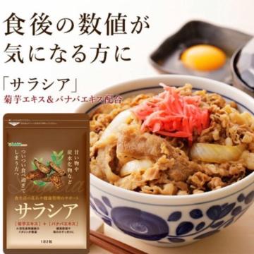 �T���V�A �Y�������u���b�N �e���_�C�G�b�g�T�v�������g ��3������