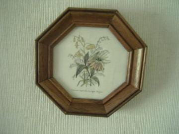 ANTIQUE��/�A���e�B�[�N���@���G��