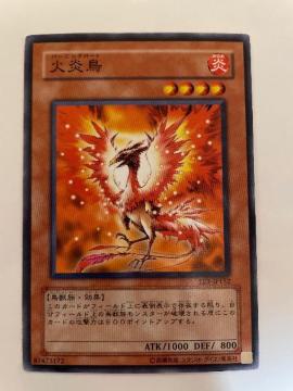 遊戯王【炎・火炎鳥】