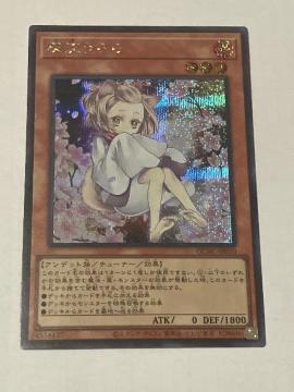 VY D QCAC-JP050 GႢV[NbgA