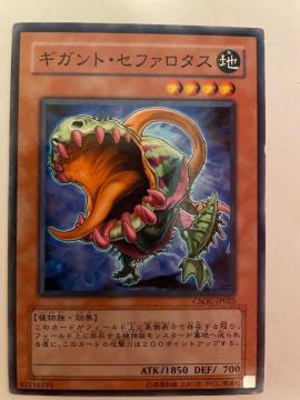 遊戯王【地・ギカントせファロタス】