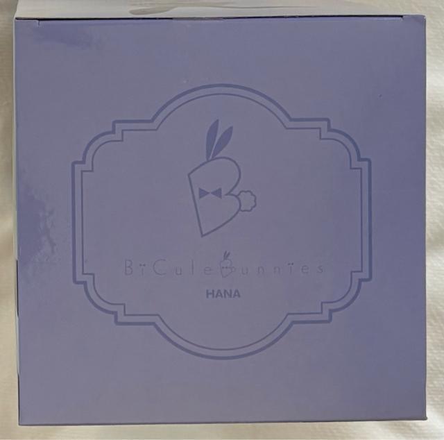 F肿͗VтIW BiCute Bunnies Figure FԈ